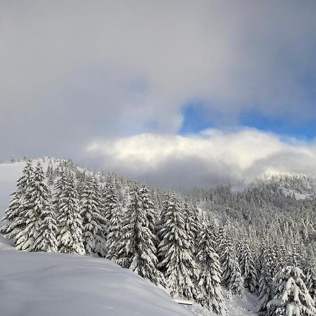 Suncani Breg Apartman 10 Apartment Kopaonik Exterior foto