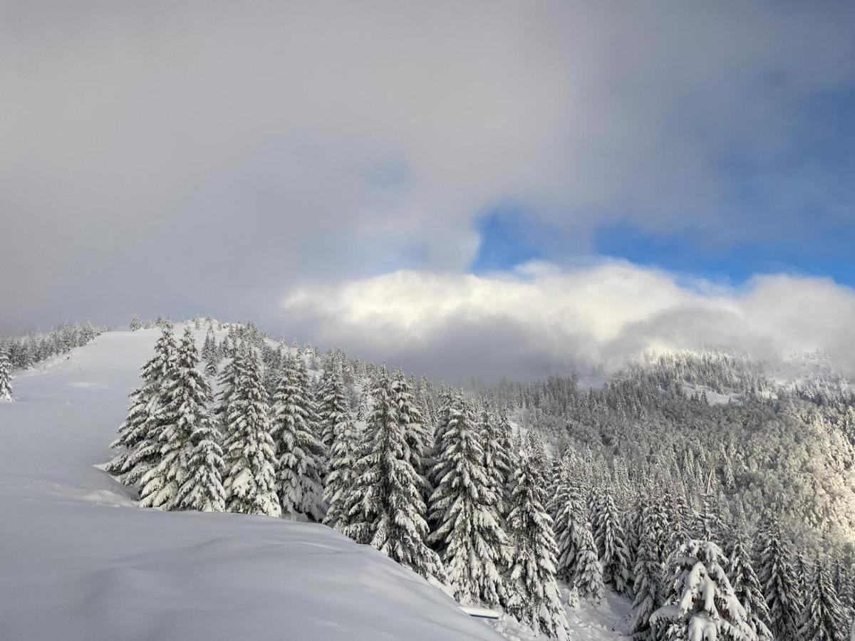 Suncani Breg Apartman 10 Apartment Kopaonik Exterior foto