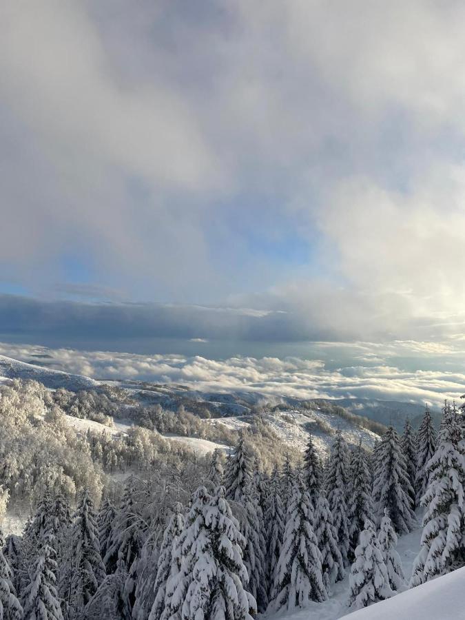 Suncani Breg Apartman 10 Apartment Kopaonik Exterior foto